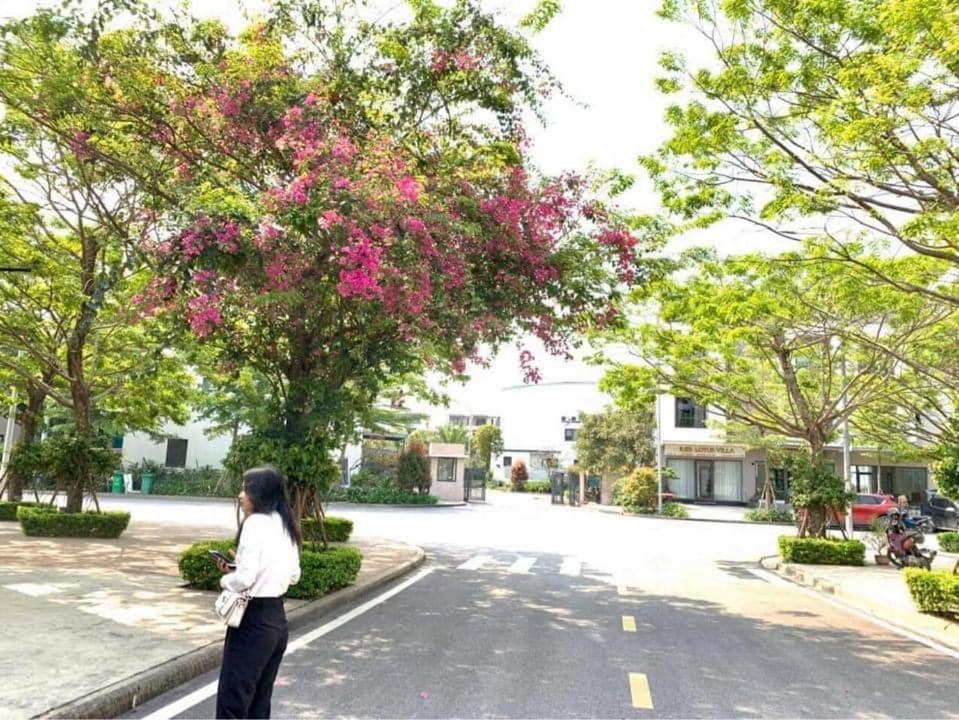 Haradise Suite Villa & Homestay Ha Long Dış mekan fotoğraf